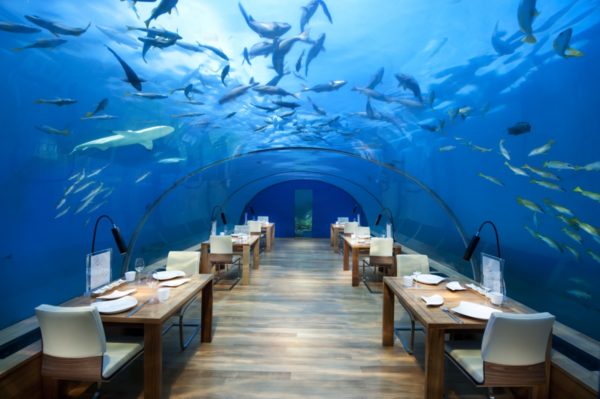 Hurawalhi: el Restaurante Submarino más grande del mundo